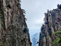 -黄山风景区