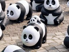-星光大道