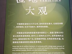 -中国湿地博物馆