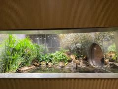 -万岛日本料理铁板烧(太古里店)