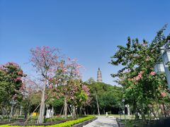 -顺峰山公园