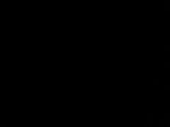-仙岳公园