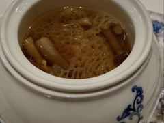 -西郊5号·Maggie 5