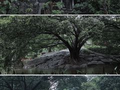 -晓港公园