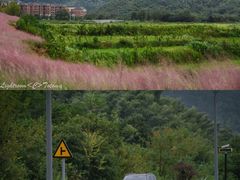 -东钱湖旅游度假区