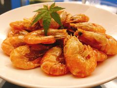 -上海新锦江大酒店