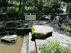-成都市活水公园