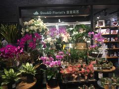 -豆豆花艺(新光天地店)
