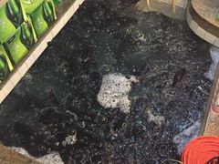-旭龙鱼头王(航华店)