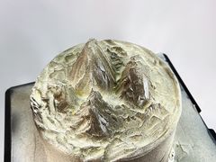 -西檬树SIMON·T轻奢蛋糕(大东方Max店)