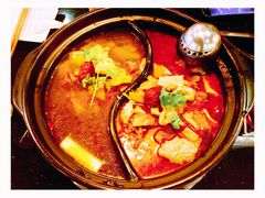 -筋头巴脑牛一锅(朝阳路总店)