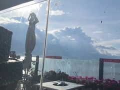 -野菌皇海景野生菌火锅(滨海大道店)