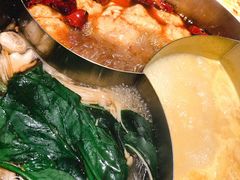 -青瓷火锅料理(西单大悦城店)