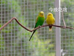 -杭州千岛湖开元度假村