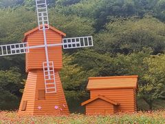 -苏州上方山国家森林公园