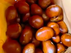 -小宝栗子(西安道店)