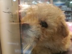 -乐宠宠物店(世纪金源店)