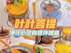 -叶叶菩提·晋福宫