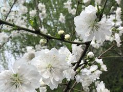 -荆川公园