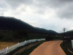 -亚龙湾国际玫瑰谷
