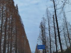 -狮子沟牧场