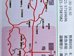 -上海海湾国家森林公园