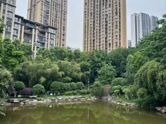 -龙头寺公园