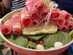 -猫头鹰炸鸡