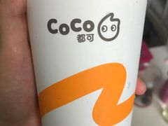 -CoCo都可(铁西万达店)