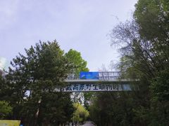 -青藏高原野生动物园