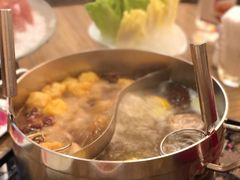 鸳鸯锅-四季火锅酒家(新濠影汇店)