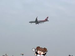 -空港花田景区