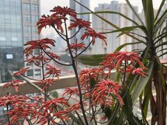 -FUNFUN有饭花园聚会餐厅