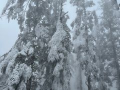 -瓦屋山景区