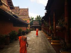 -西双版纳傣族园