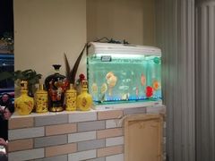 -振生清真饭店(永安道店)