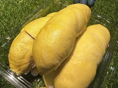 -深圳市海吉星国际农产品物流管理有限公司
