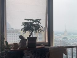 -梦白空间瑜伽馆