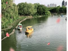 -朝阳公园