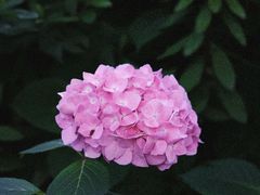 -常州古运河南大街文化旅游区-人民公园