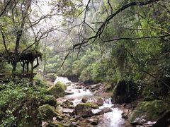 -青城山