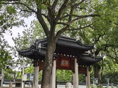 -汇龙潭