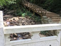 -江西阳明山国家森林公园