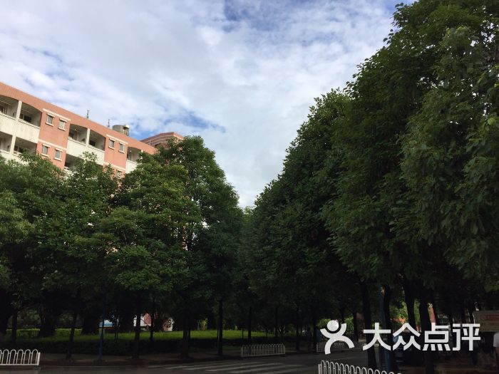 雲南財經大學(龍泉校區)圖片 - 第3張