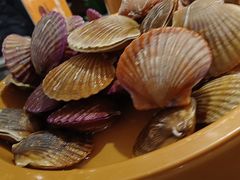 -龍歌自助小火锅(城阳万象汇店)