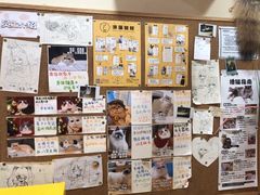 -滚猫咖啡·猫咖·猫友好撸猫(未来城店)