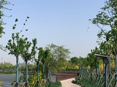 -天津东丽湖风景区