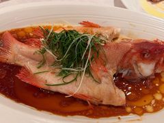 -南海渔村(珠江新城店)
