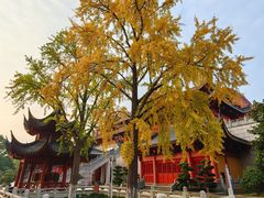 -上海东林寺(金山区)