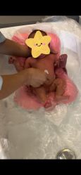 点击看大图 -大美母婴月子中心(馨乐庭店)